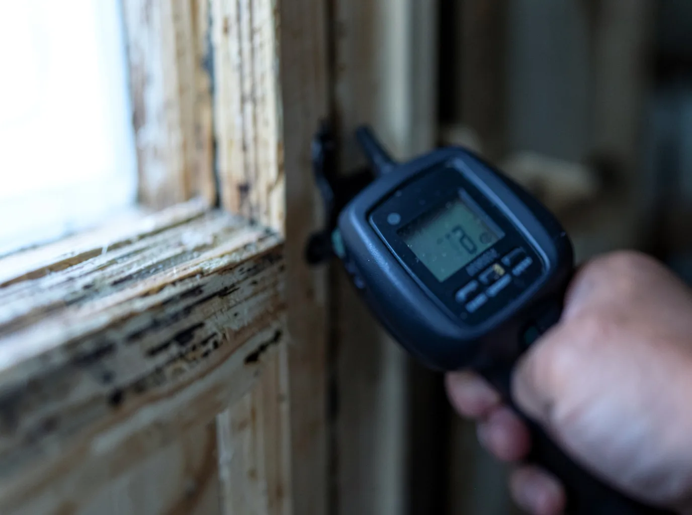 Moisture Inspection And Documentation in Little Sioux, IA